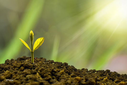 Hope: The Other Leadership X Factor